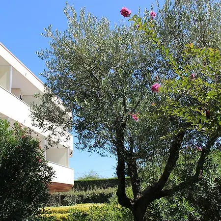 Aparthotel Eurobeach